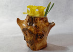 figured and branched wood planter, vase, rustic, Wabi Sabi, Wabisabi, wabi-sabi, one-of-a-kind, asymmetric, upcycled, 554-A