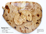 .. spalted maple curved irregular platter, 7" tall x 22 x 17, 5 lbs, 215-A