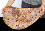 .. spalted maple curved irregular platter, 7" tall x 22 x 17, 5 lbs, 215-A