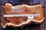 large oblong bowl, golden brown, burl bowl, mottled colors, live edge, Siberian black elm wood, irregular, asymmetric, 312-Q