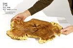 irregular wood platter, Siberian black elm wood, scalloped edge, live edge, orange brown and yellow, 22 inches long x 15 wide, 2 high, 312-R