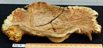 irregular wood platter, Siberian black elm wood, scalloped edge, live edge, orange brown and yellow, 22 inches long x 15 wide, 2 high, 312-R