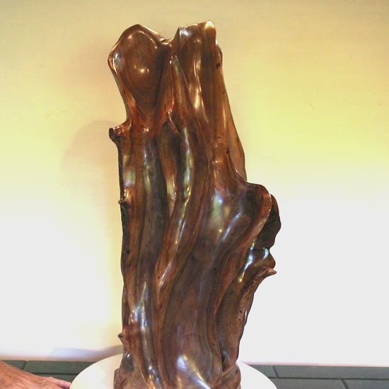 Video of a beautiful brown tabletop and floor wooden sculpture 31.5" tall created from black Walnut wood.  It has freeform flowing lines showing amazing wood grain. The wood was rescued from a 24 inch diameter tree that died and fell in an Oregon winter storm.