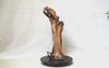 Video of a vertical 27 inch tall Pacific Ocean abstract driftwood tabletop sculpture, Sitka spruce root, beautiful grain patterns, rich natural brown and light orange colors.  It measures 26.7 x 11.2 x 10.5’’, 9.95 lbs.  Has two naturally imbedded rocks and some white barnacle shells. 