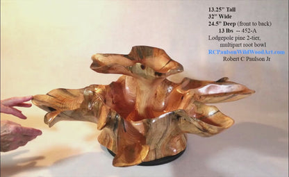 Exotic divided & branching tree root wood bowl, large, rustic yet refined, heirloom, flared side dishes and top dish, sprawling, one of a kind, unique, golden brown, tan, lodgepole pine, 13.25 inch tall x 32 x 24.5, food safe, wooden, unique 452-A