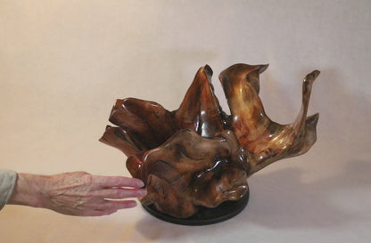Exotic branched wood root bowl, large, smooth, rustic refined, twisted, arced, sprawling, one of a kind, unique, maroon, brown gold, 14.75'' T, x 21.5, obsidian rock floor inside, Wabi Sabi, driftwood, fruit bowl, food safe, beautiful, 369-A