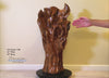 Video of an exotic wood sculpture 32.5 inch tall, freeform on the floor in front of a beige wall.  One-of-a-kind brown and golden orange, black walnut floor sculpture with an abstract interwoven design with some parts somewhat resembling wild flowers or leaves.  It has beautiful grain patterns and measures 32.5 x 17.5 x 17'', 36.8 lbs.